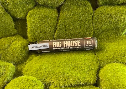 Photograph of product: Pre Roll Single | Sweet Island Skunk | Big House Cultivators