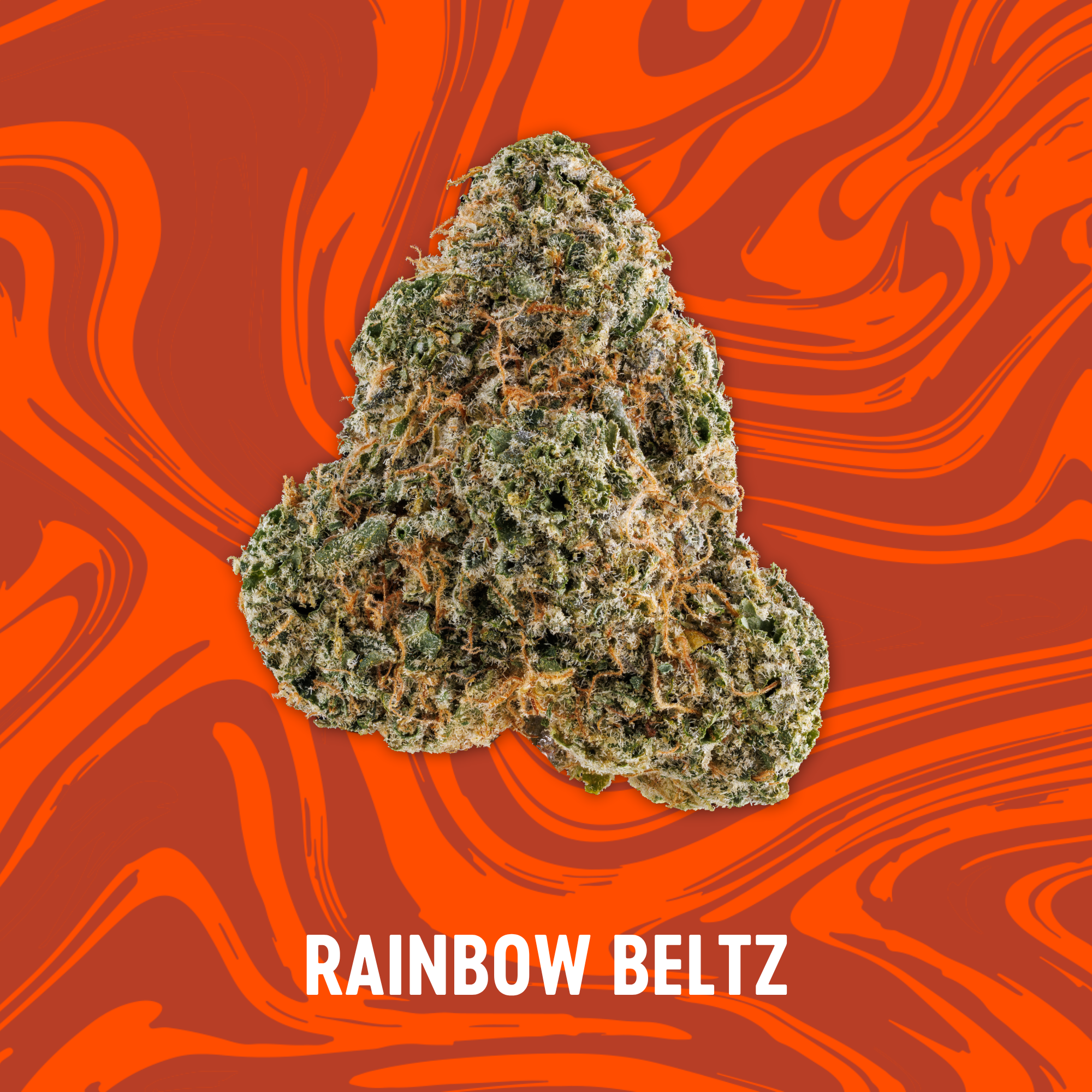Photograph of product: Vivid - NEW DROP - Rainbow Beltz - Deli Flower - 2g