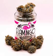 Photograph of product: FFC | Blueberry Sugar - 3.5g