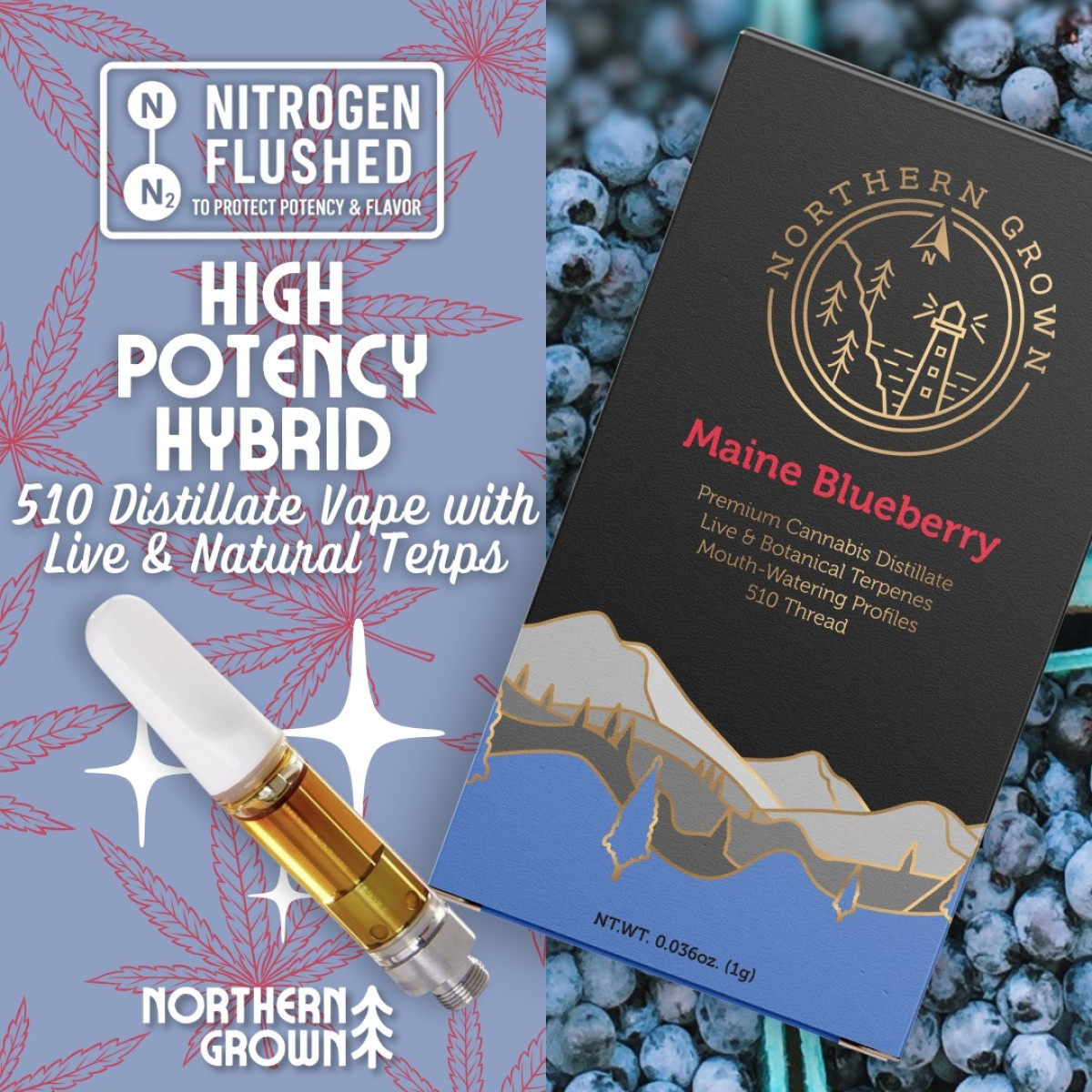 Photograph of product: Maine Blueberry | Distillate | 1g Cart