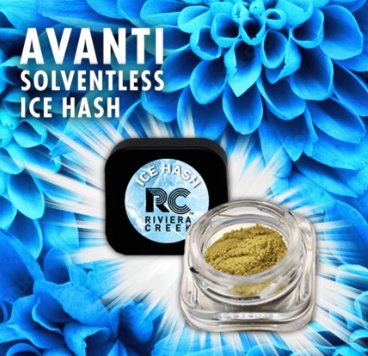 Photograph of product: Avanti | au chocolat | 0.5g