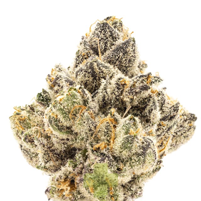 Photograph of product: Gemini - Eighth