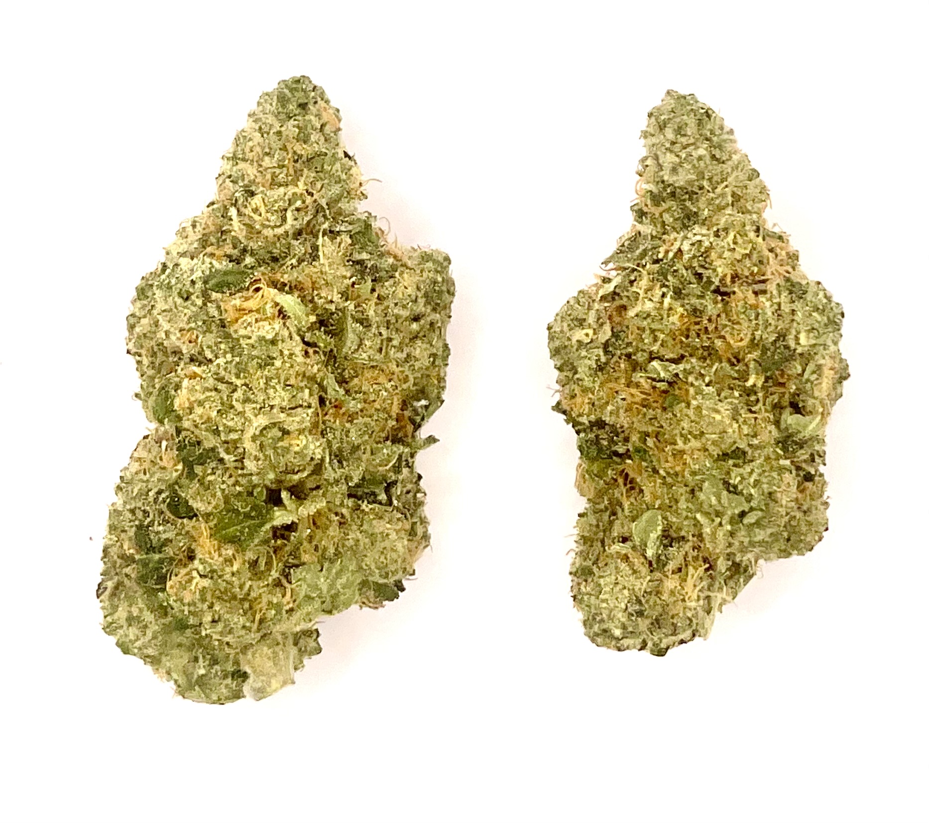 Photograph of Product: Buds | Tahiti Lime - 28g