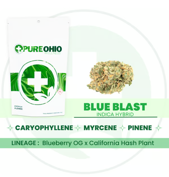 Photograph of product: Pure Ohio | Blue Blast | 14.15g