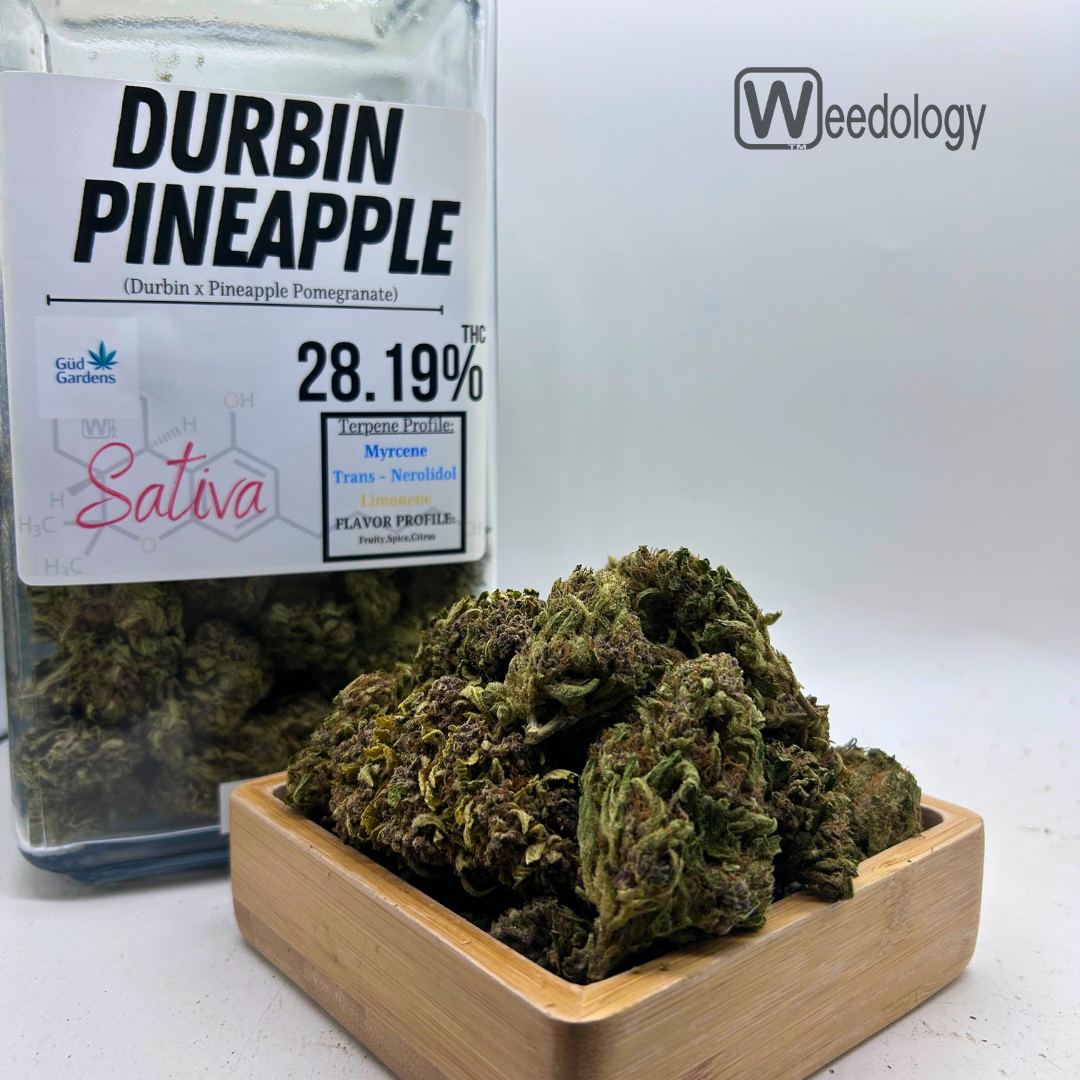 Photograph of product: Durbin Pineapple (S) - 28g