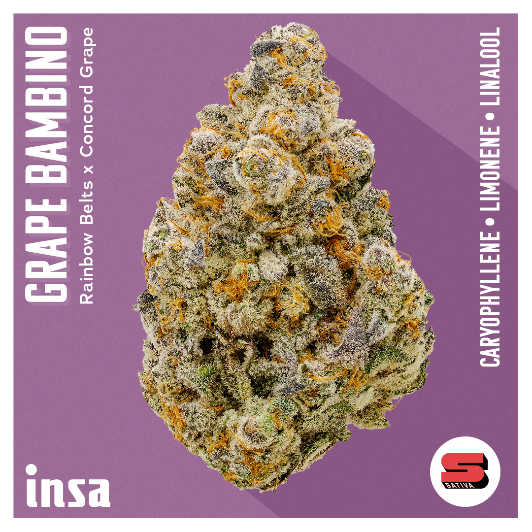 Photograph of product: Flower - Grape Bambino - 3.5g