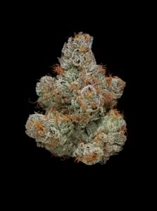 Photograph of product: Biscotti Runtz - 3.5g - Flower