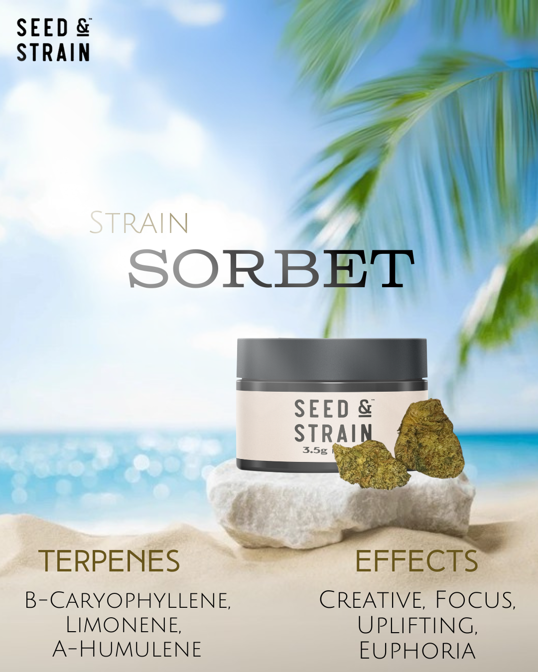 Photograph of product: SS - Sorbet - 3.5g