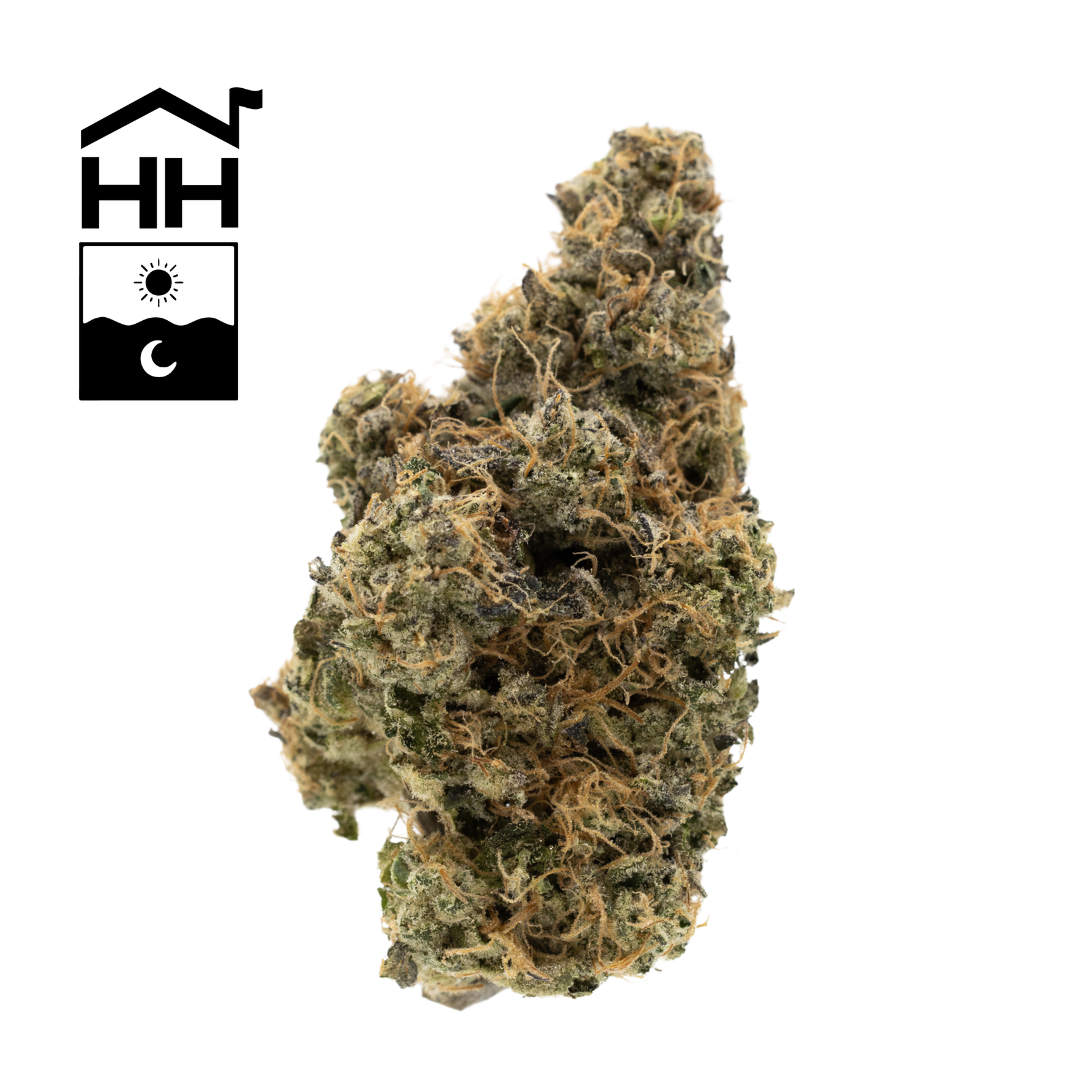 Photograph of product: Black Maple | 3.5g | Flower