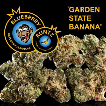 Photograph of product: Garden State Banana Blueberry Runtz Pre-Roll