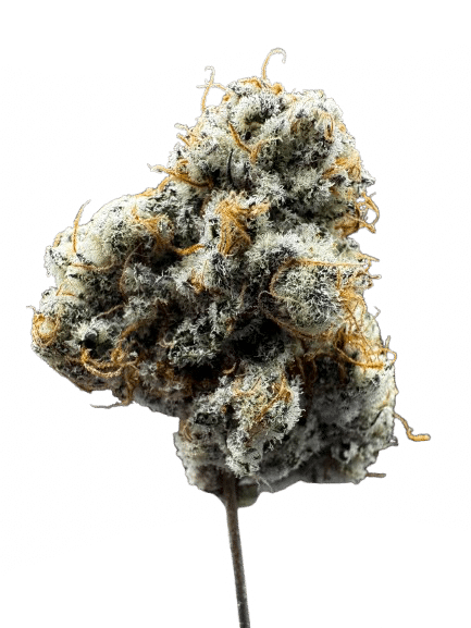 Photograph of product: Emerald Visions Slymer Mac Preroll