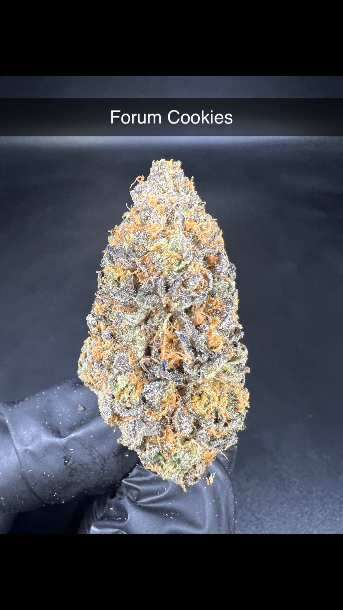 Photograph of product: Forum Cookies - Flower - Oui'd - 28g