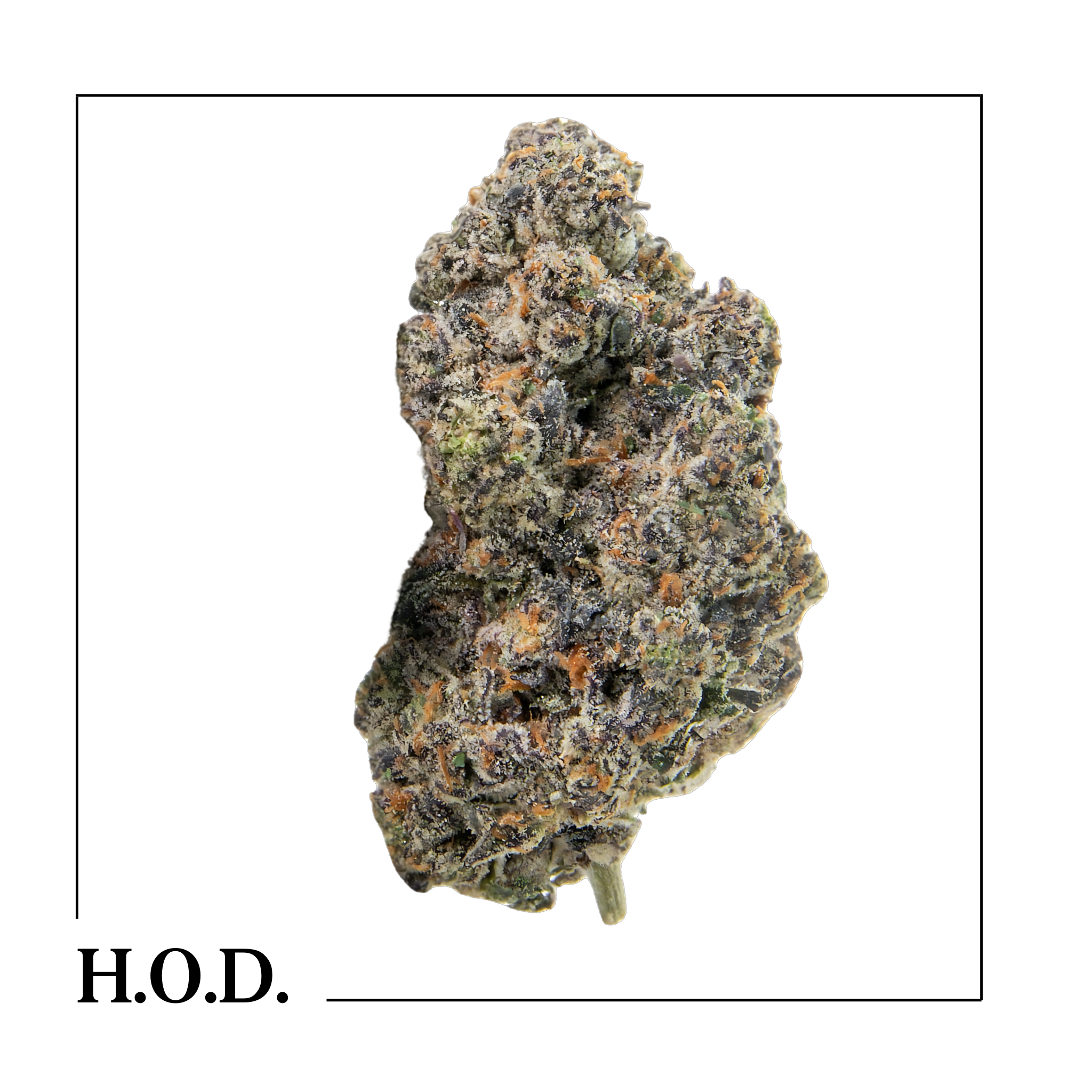 Photograph of product: Stone Heads Mr. Stinky - 28g