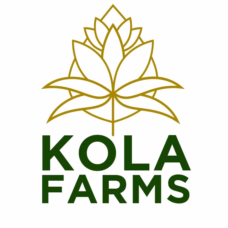 Photograph of product: Kola Farms | Duct Tape Live Resin Badder