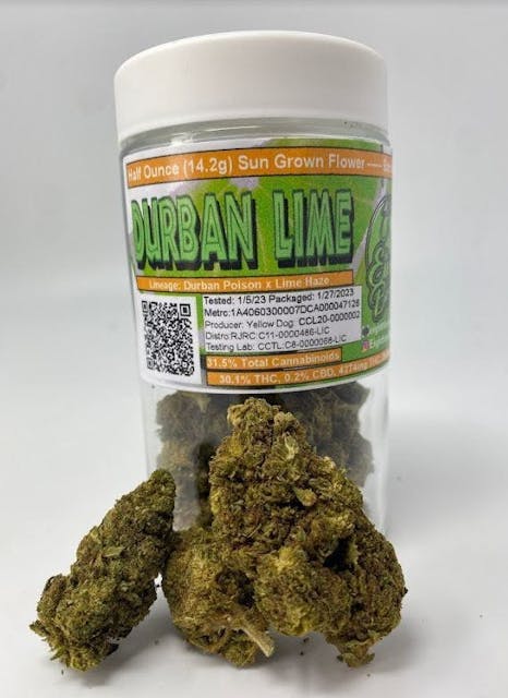 Photograph of product: Durban Lime | 14g Flower