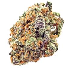 Photograph of product: Mimosa - 28g