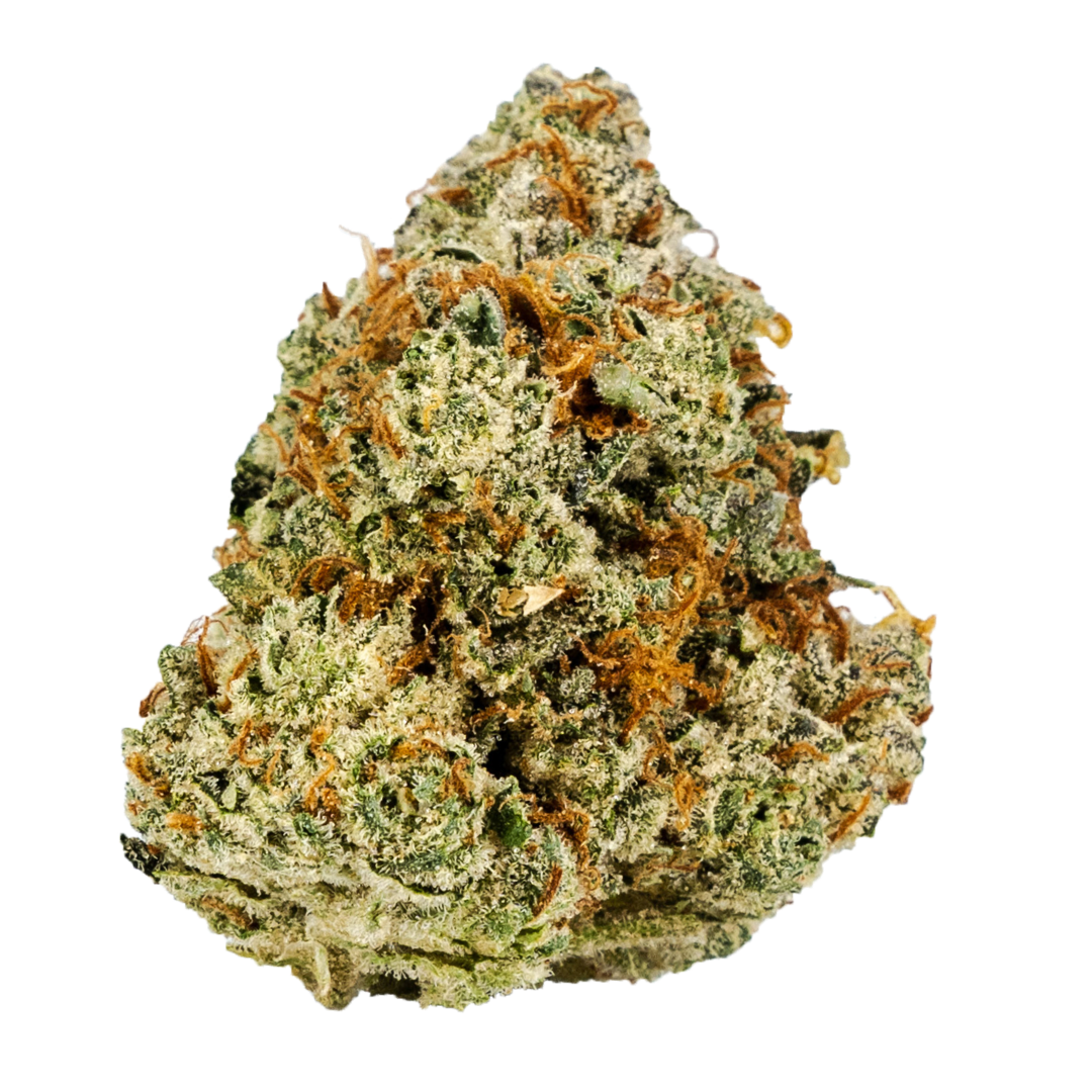 Photograph of product: Premier Tier - RAIN DANCE - 28g