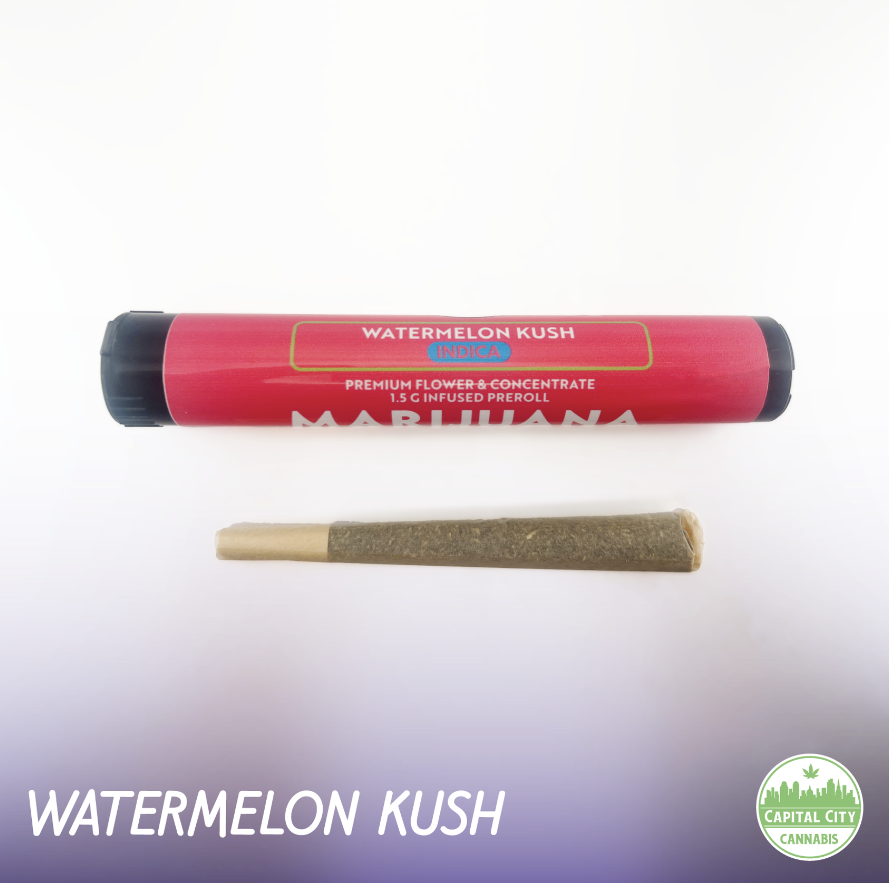 Photograph of product: Capital City | Watermelon Kush Infused Pre-Roll