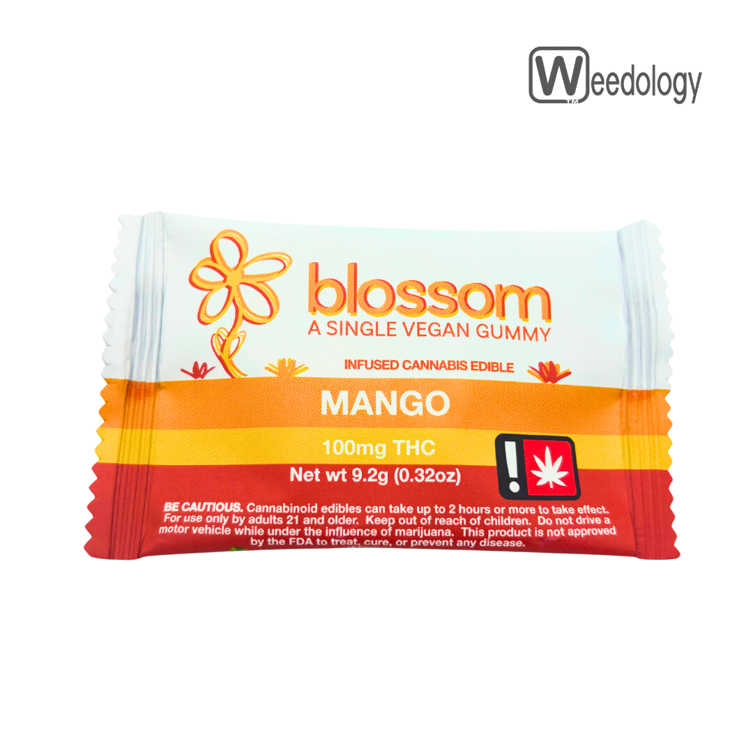 Photograph of product: Blossom Single MANGO 100mg/pkg Gummy