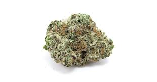Photograph of product: Flower | Cali Red Runtz | Exotic Matter - 28g