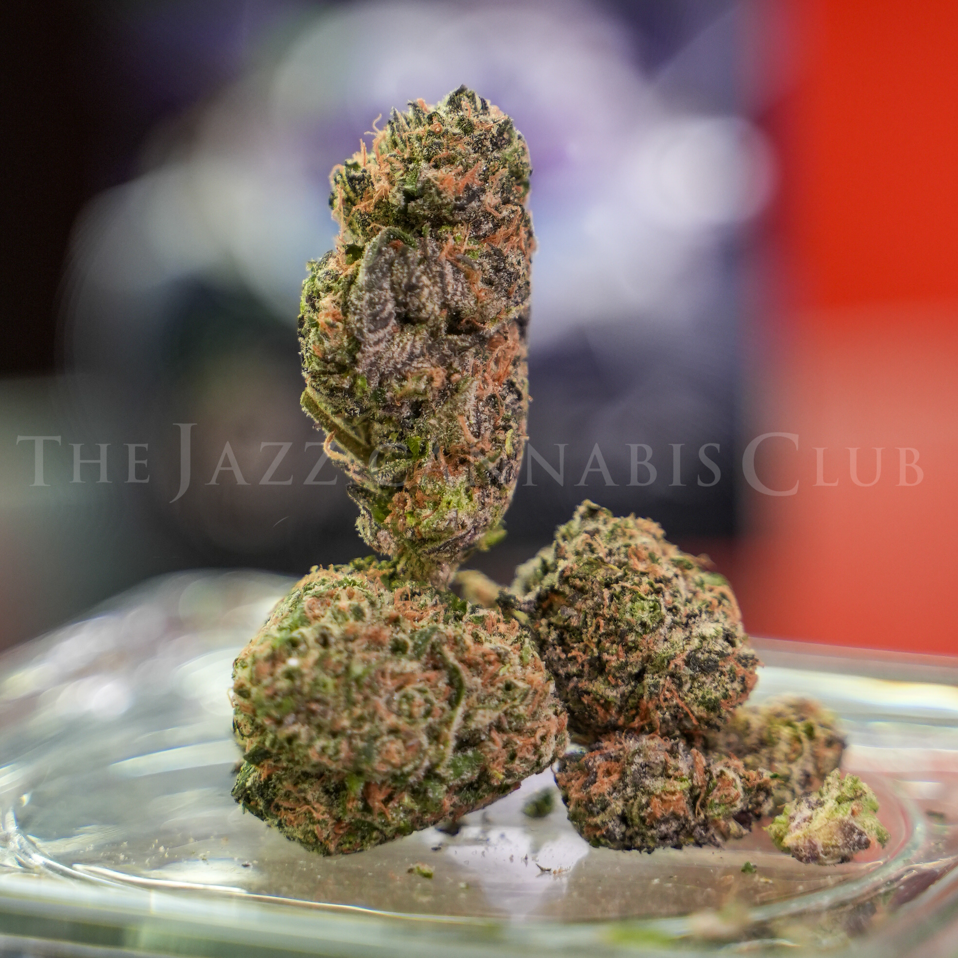 Photograph of product: Apex- Purple Dreamz Pre Packed - 3.5g