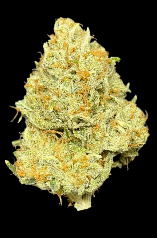 Photograph of product: Good Life Gardens: Headbandd - 28g