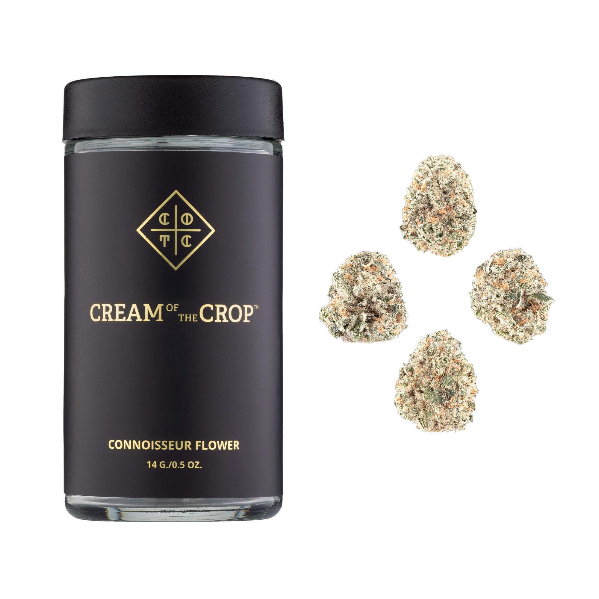 Photograph of product: BLUNTZ - 14G