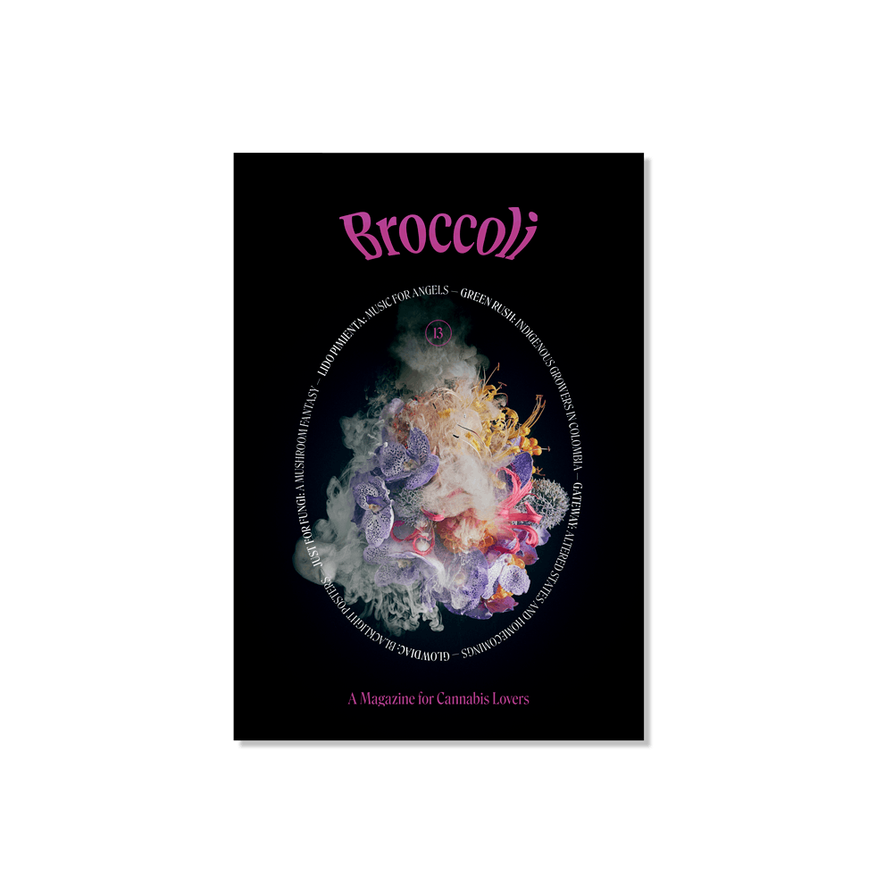 Photograph of product: Broccoli Magazine Issue 13 - 