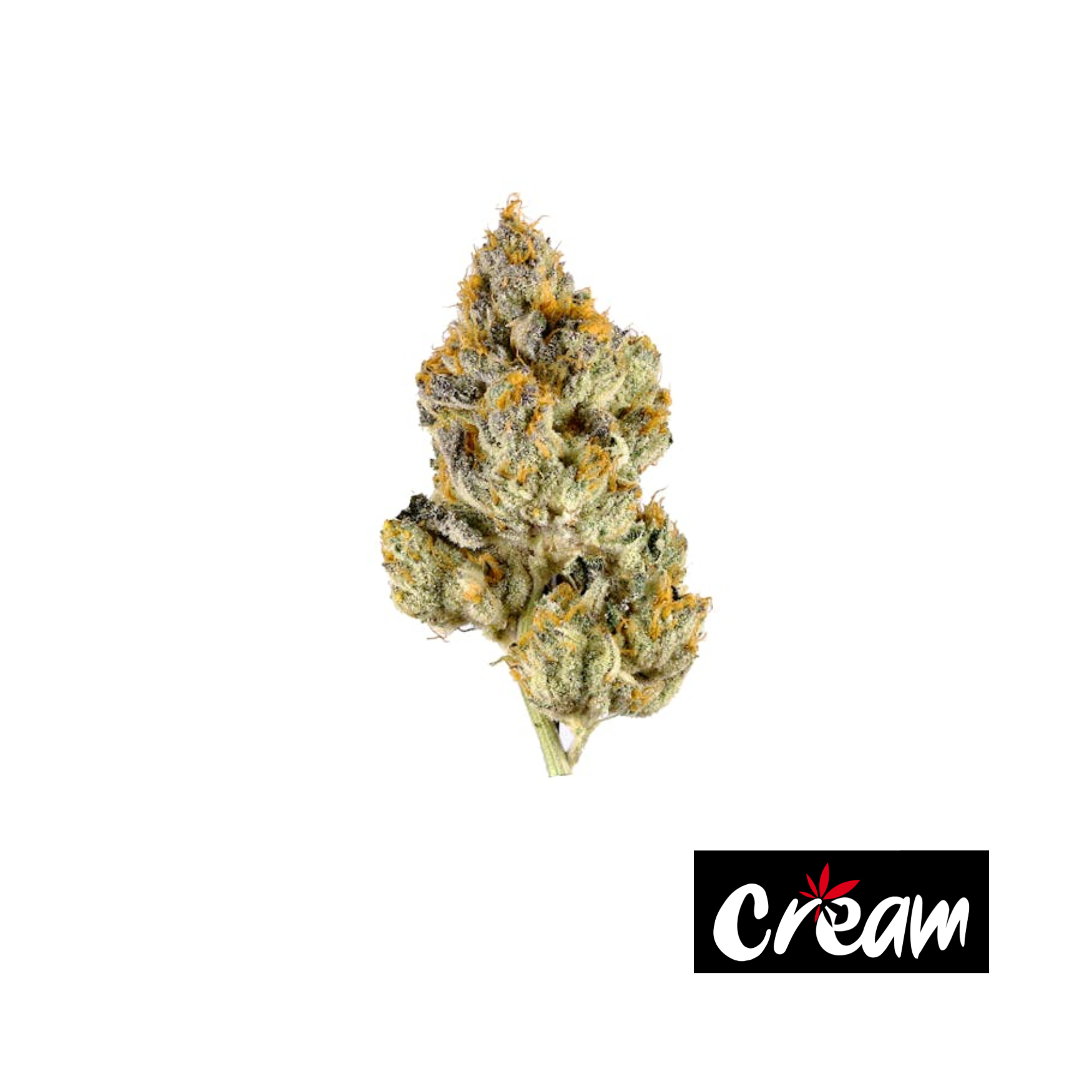 Photograph of product: Fiji Sunset - 3.5g