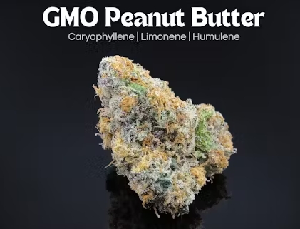 Photograph of product: GMO Peanut Butter | 14.15g