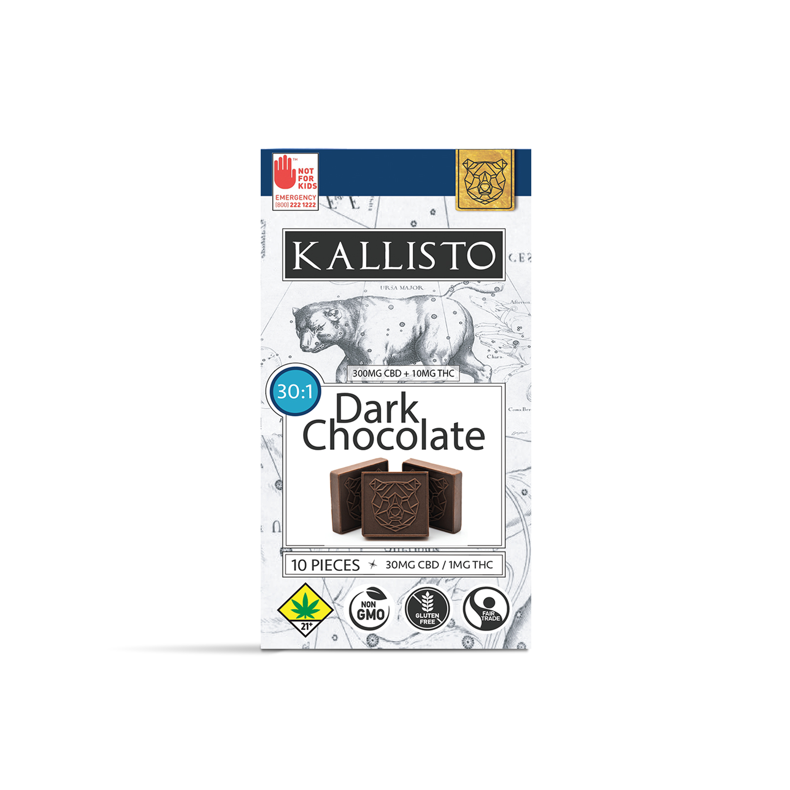 Photograph of product: 30:1 Dark Chocolate | 10-pack