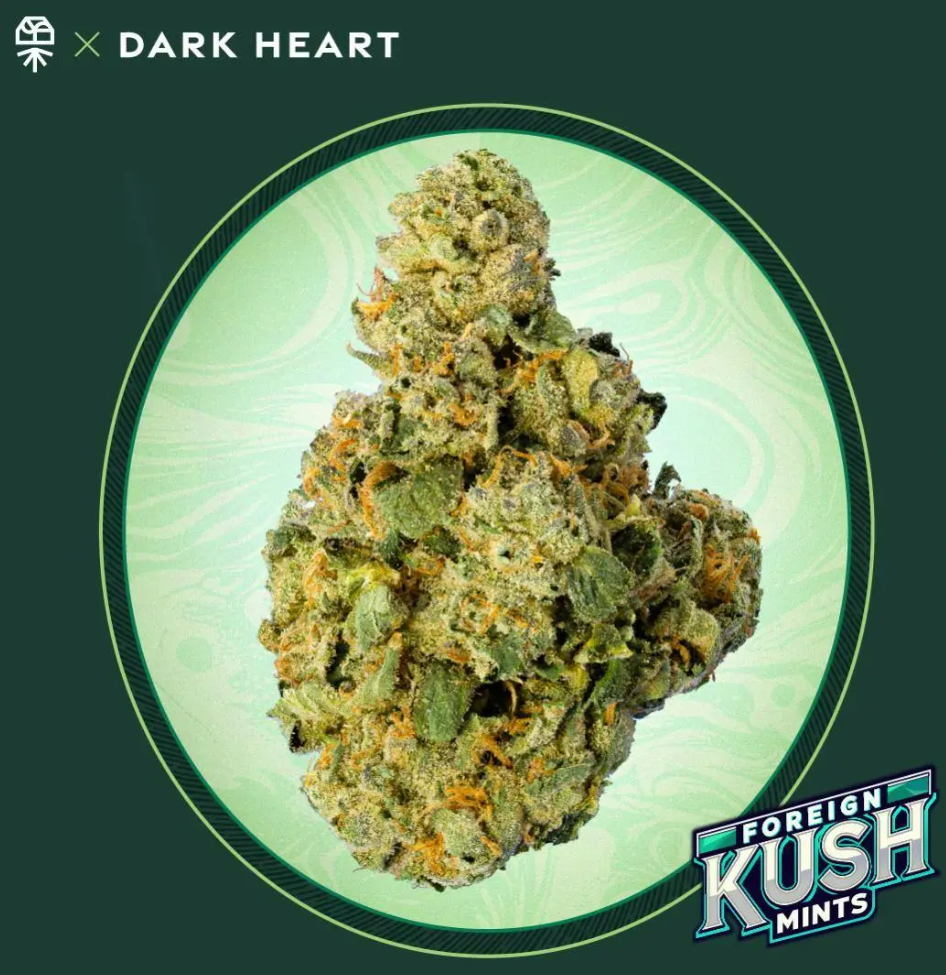 Photograph of product: Dark Heart Collection Whole Flower 3.5g Zesty Garlic Kookyz (I) 00965 TC 33.969%