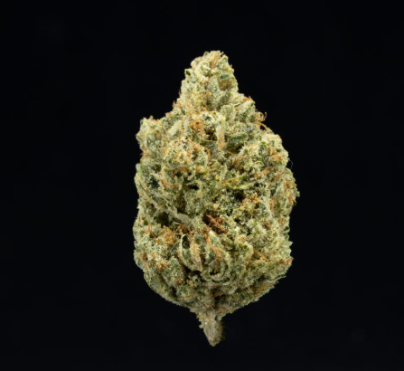 Photograph of product: UPNORTH - HEADBAND (3.5G) (H)