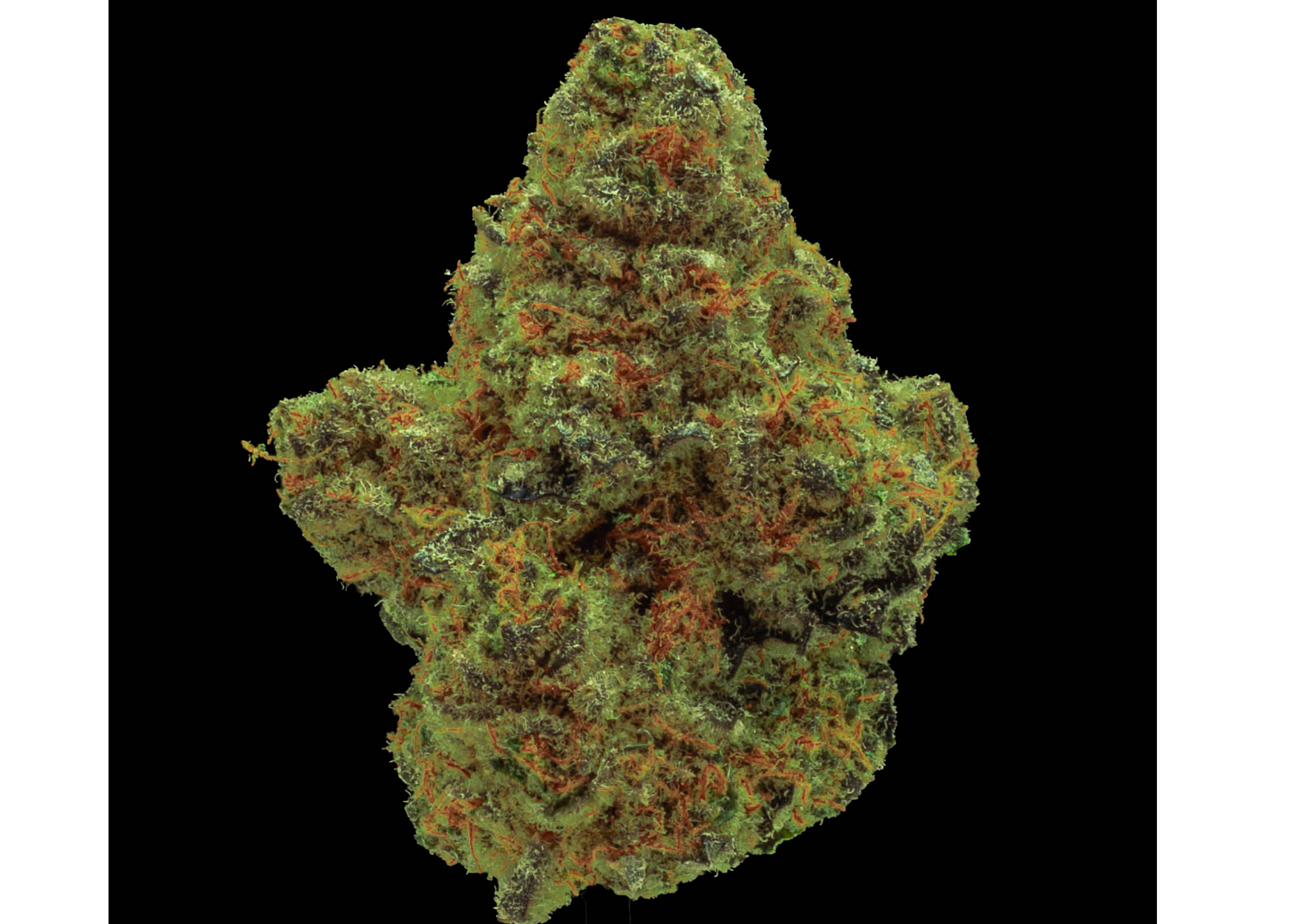 Photograph of product: Flower Bifrost - 28g