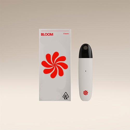 Photograph of product: MAUI WOWIE 1G SURF ALL-IN-ONE