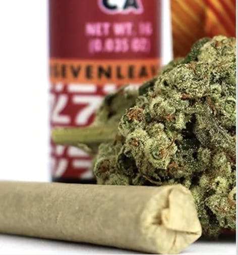 Photograph of product: Blue Dream | 1g Pre Roll