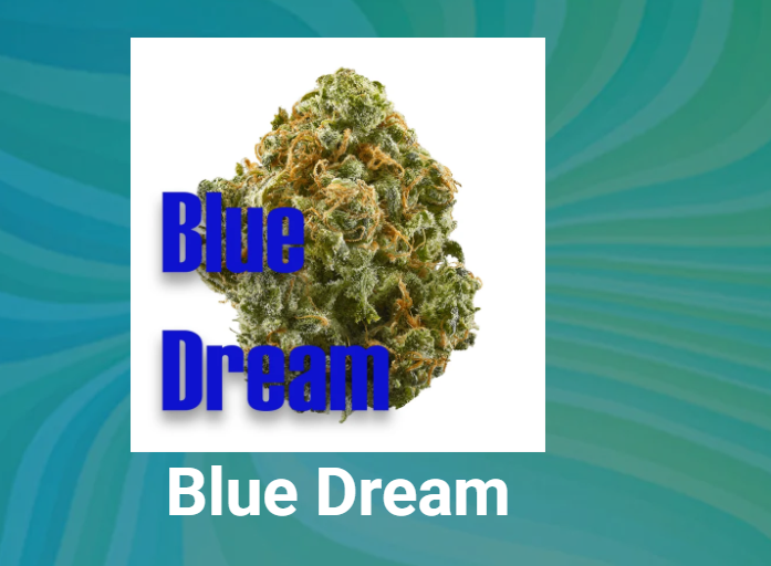 Photograph of product: Blue Dream Oui'd Mini Buds | 28G | Resinate
