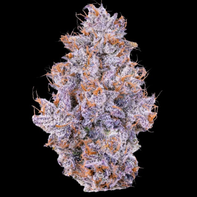 Photograph of product: Biskante 14g Smalls - 