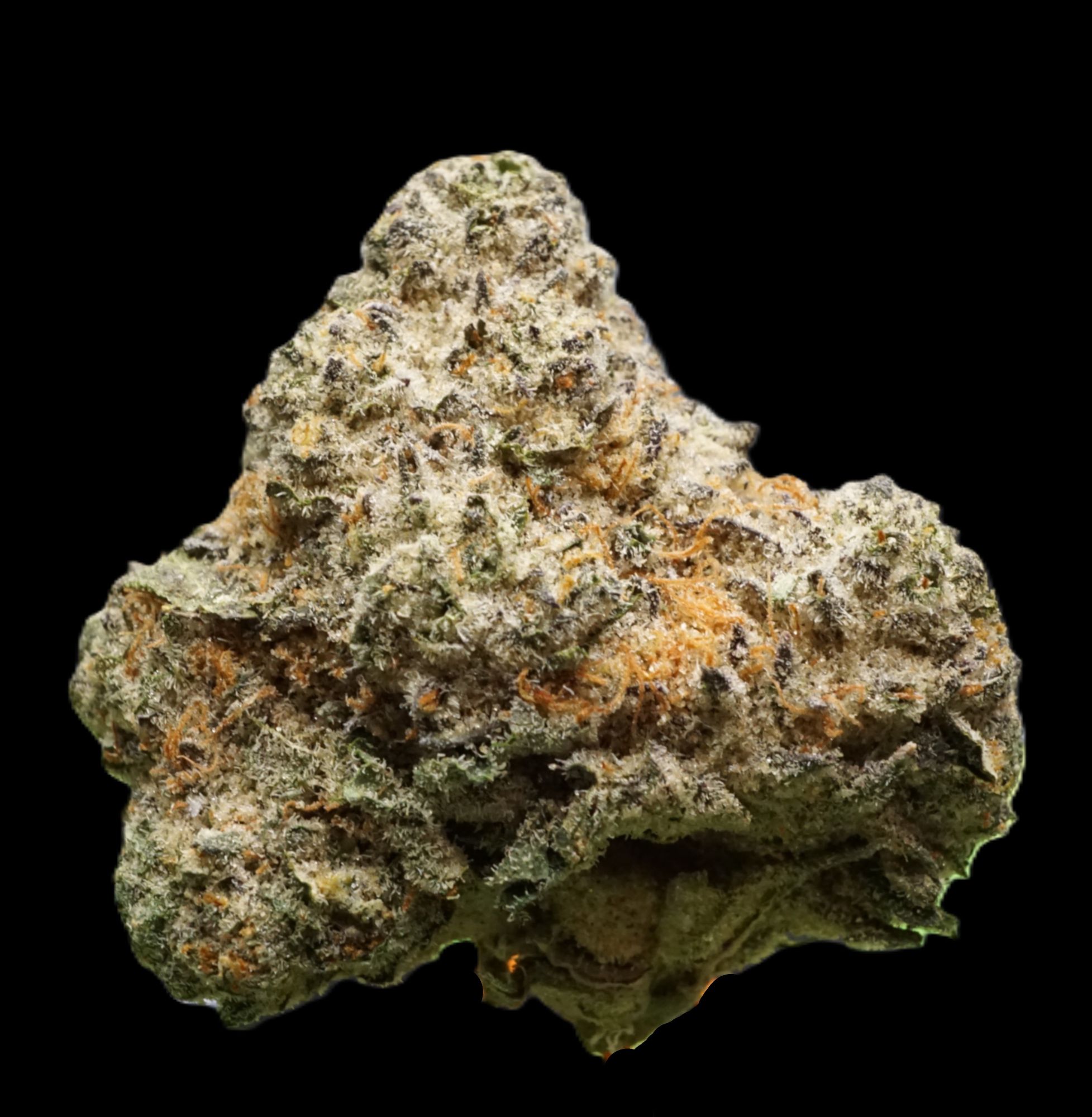 Photograph of product: Jokerz Wild - buds
