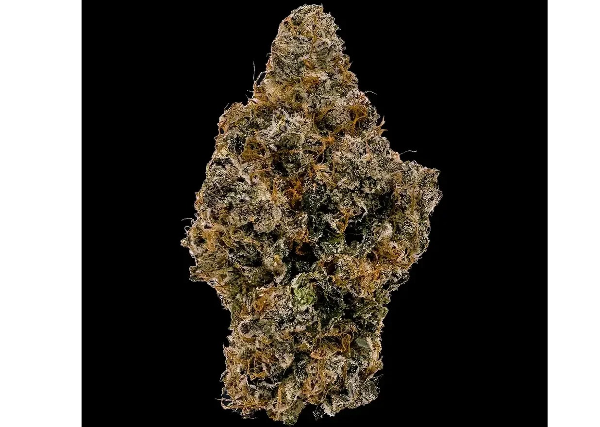 Photograph of product: Cookies | Blue Agave | Indoor Grown Flower - 3.5g