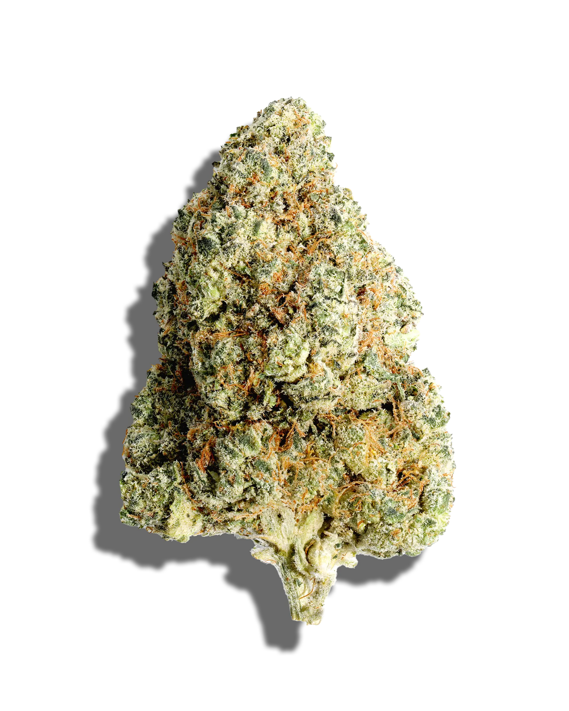 Photograph of product: Trop Cherry | Flower - 28g