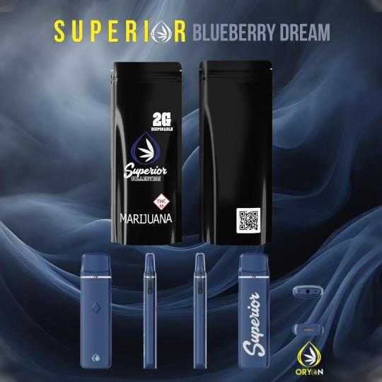 Photograph of product: Blueberry Dream | 2g | AIO Disposable