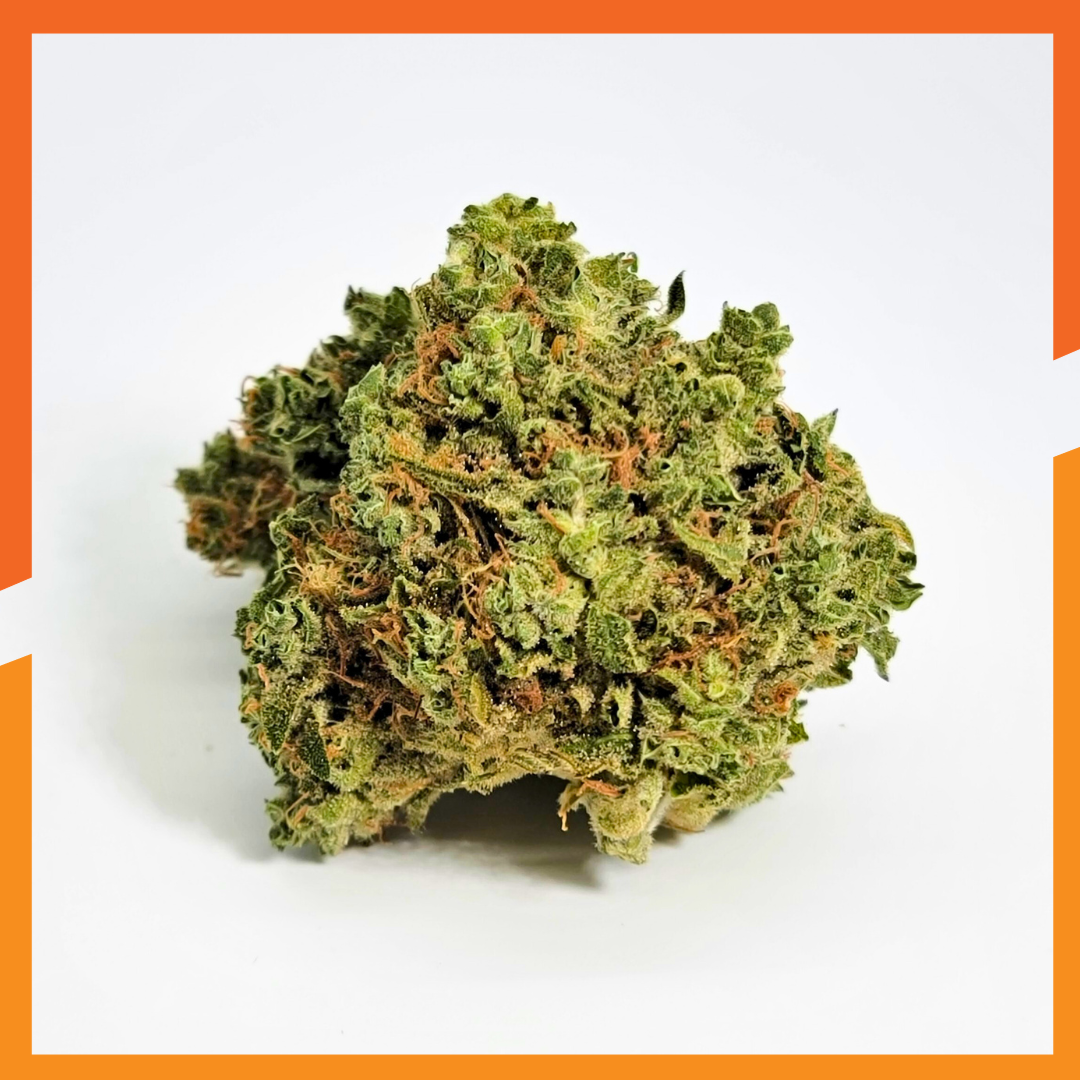 Photograph of product: Speak Easy | Flower | Elevate - 28g