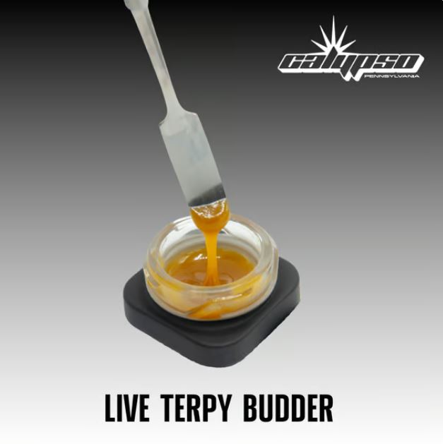 Photograph of product: Sherbie the Love Nug | 4g