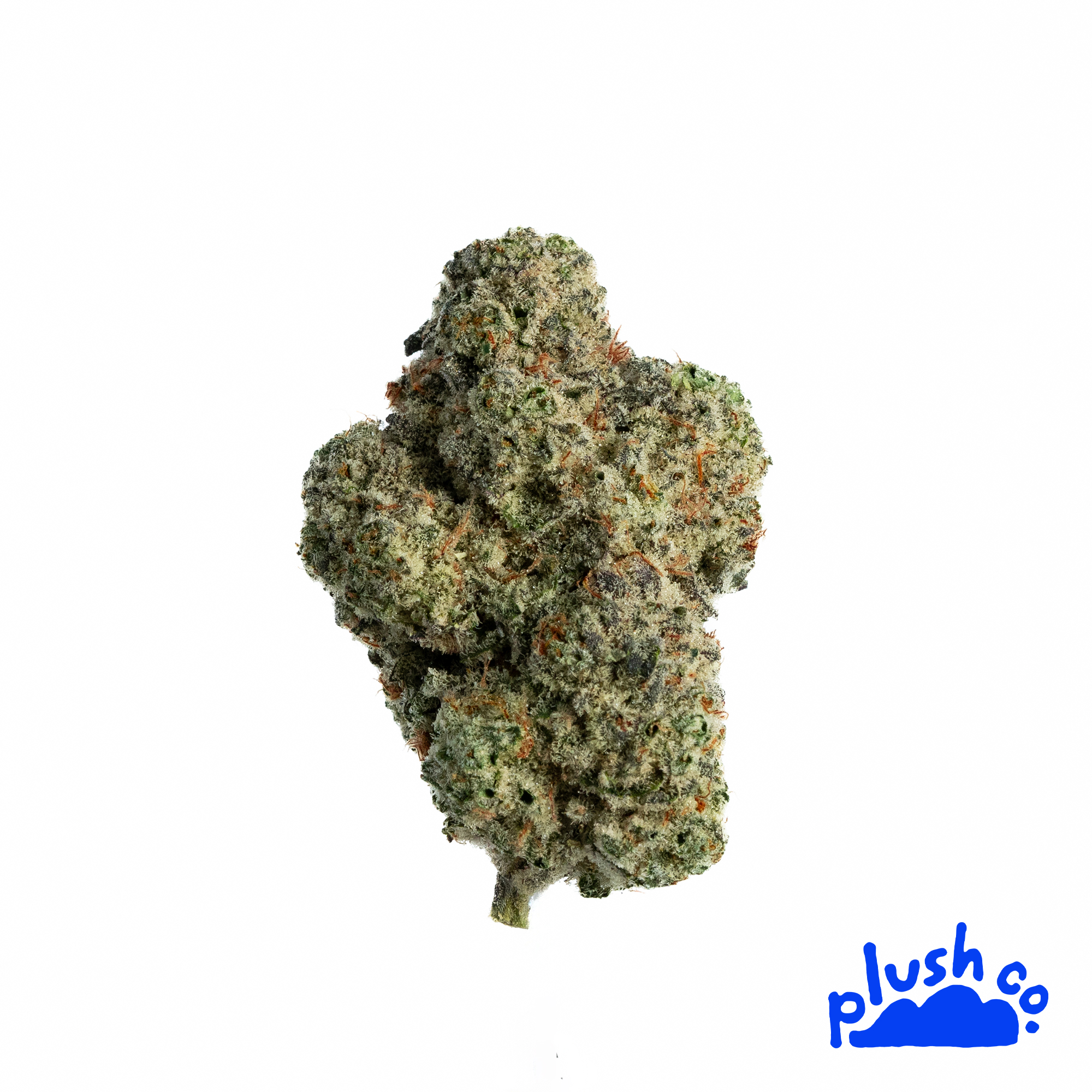 Photograph of product: PlushCo | Ooze | Flower - 28g