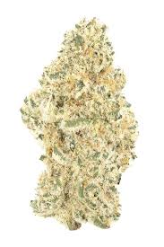 Photograph of product: Green | Jungle Pie 28g