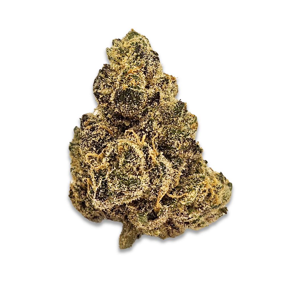 Photograph of product: Sunset Sherbert BX1 (March '25 Harvest) - 7g