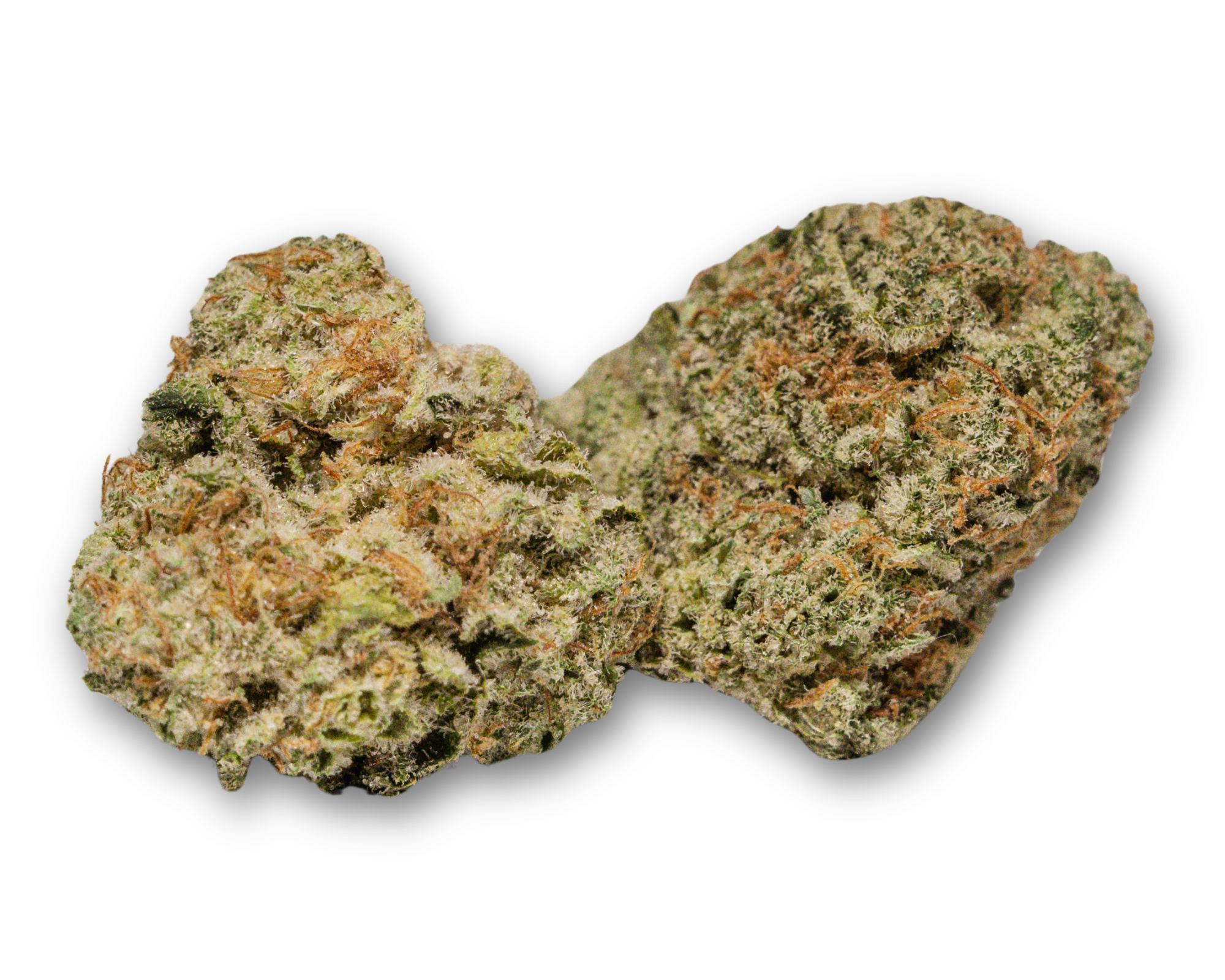 Photograph of product: Big Bud - Craft Indoor - 28g