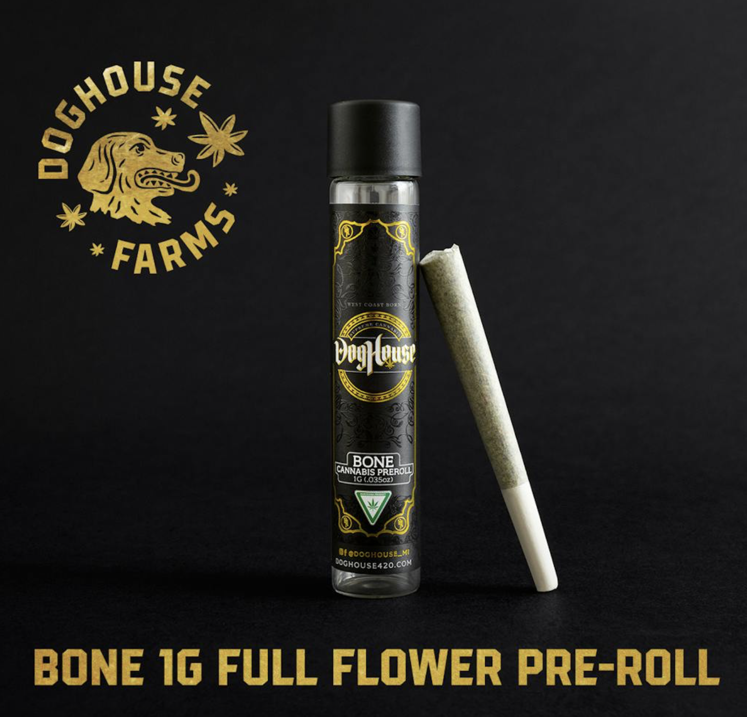 Photograph of product: DogHouse | Crash Glow | Pre-Roll