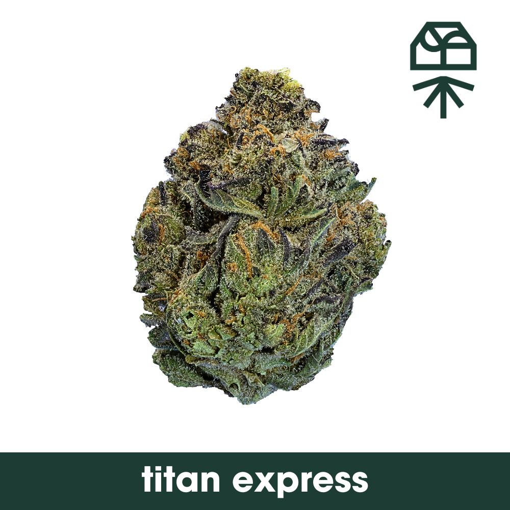 Photograph of product: Diamond Infused Titan Express Whole Flower 3.5g